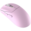 Вид 1